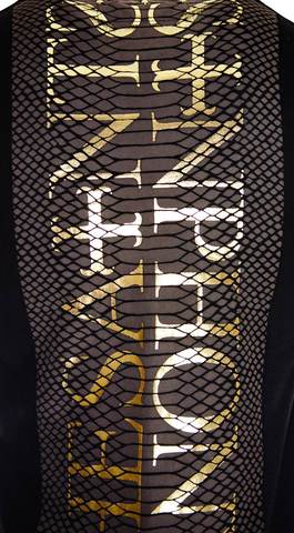 The Saints Sinphony | Футболка мужская PYTHON GOLD LOGO TS2682 принт на спине